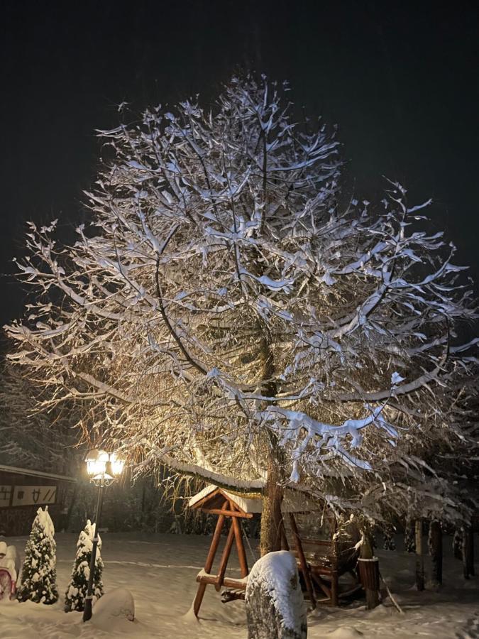 Cabana Din Groapa Frumoasa Rîşnov 외부 사진